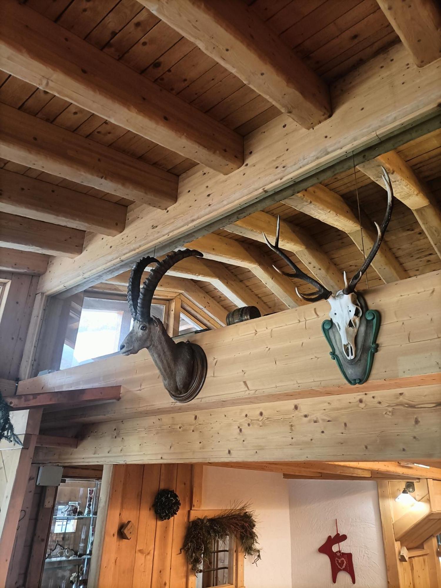 Chalet 1400 Nuova Gestione Limone Piemonte Exterior foto